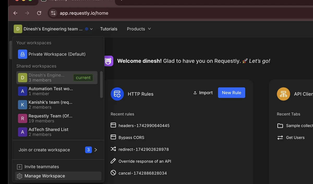 Switching between projects in the Requestly API Client