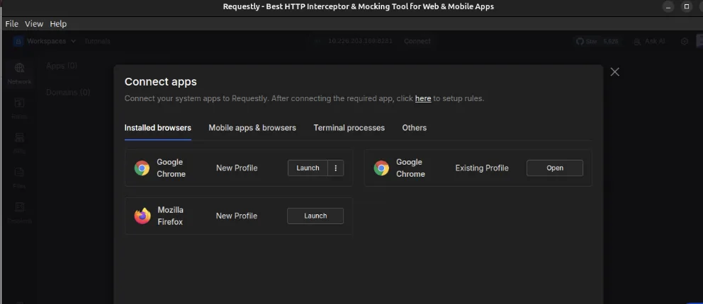 security-in-api-testing-4 - requestly api client