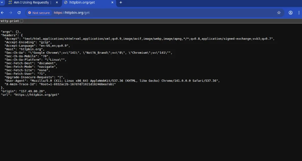 security-in-api-testing-5 - requestly api client